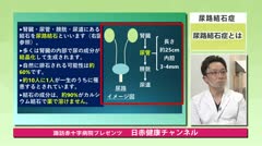 尿路結石症について　小川典之先生