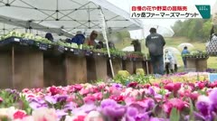 自慢の花や野菜の苗販売 八ヶ岳ファーマーズマーケット