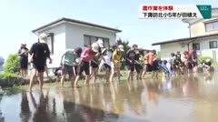 農作業を体験　下諏訪北小5年が田植え　