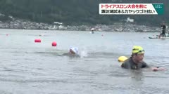 トライアスロン大会を前に　諏訪湖試泳＆カヤックゴミ拾い　