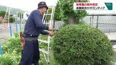 保育園の樹木を剪定　造園組合がボランティア