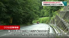 20日から22日にかけて　有賀峠頂上付近でクマ目撃　